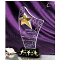 Engraving Star Crystal Trophy with Black Base